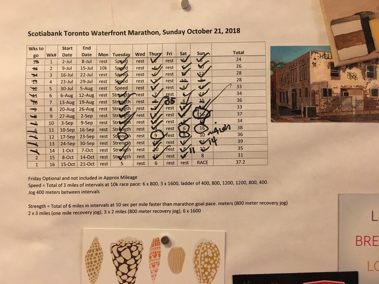 Training Plan (2).jpg