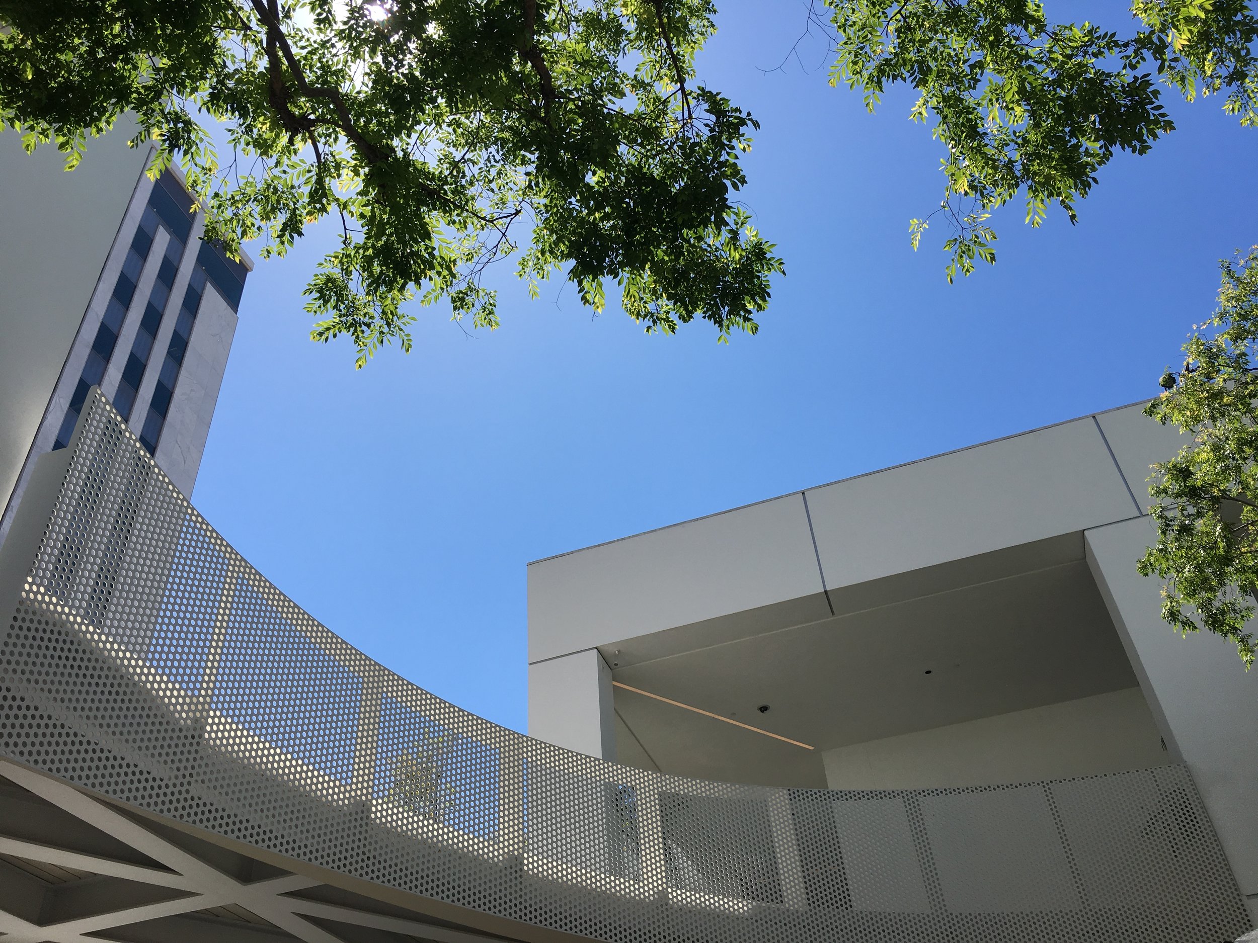 Dining view, looking up