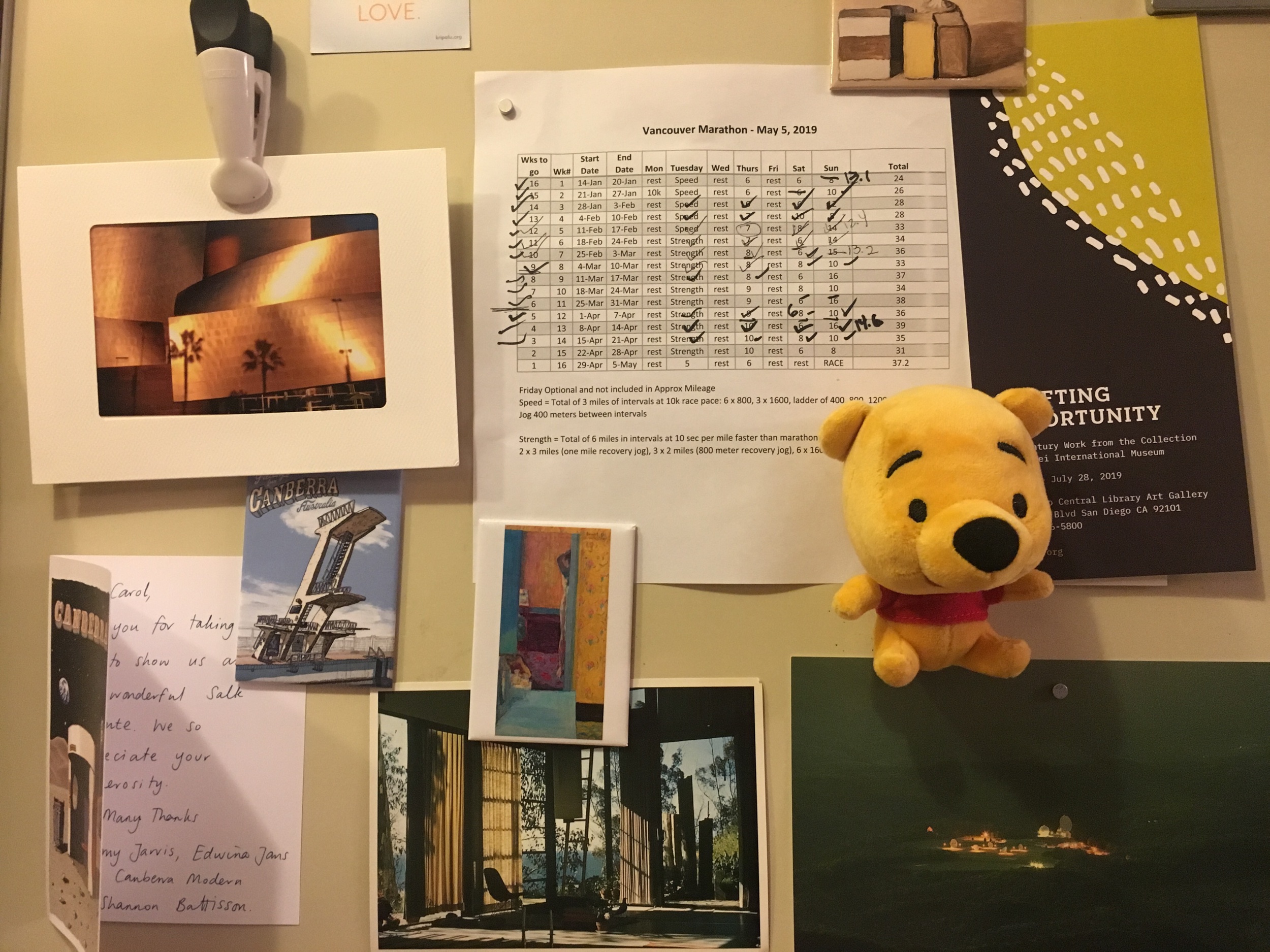 IMG_2372.jpeg