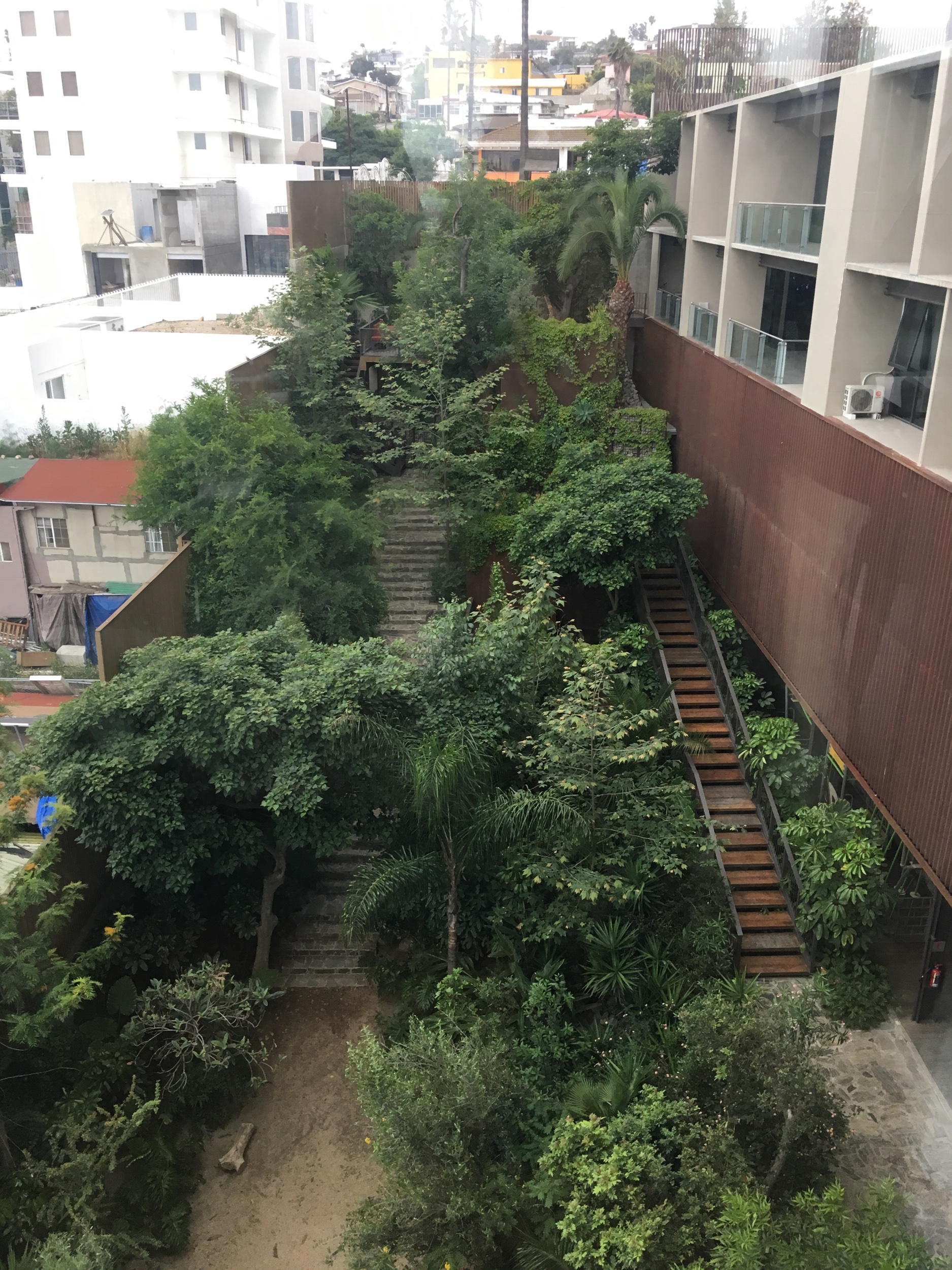 IMG_2928.jpeg