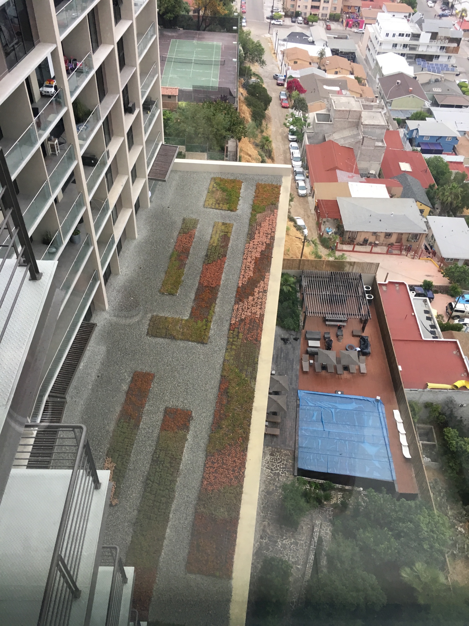IMG_2938.jpeg