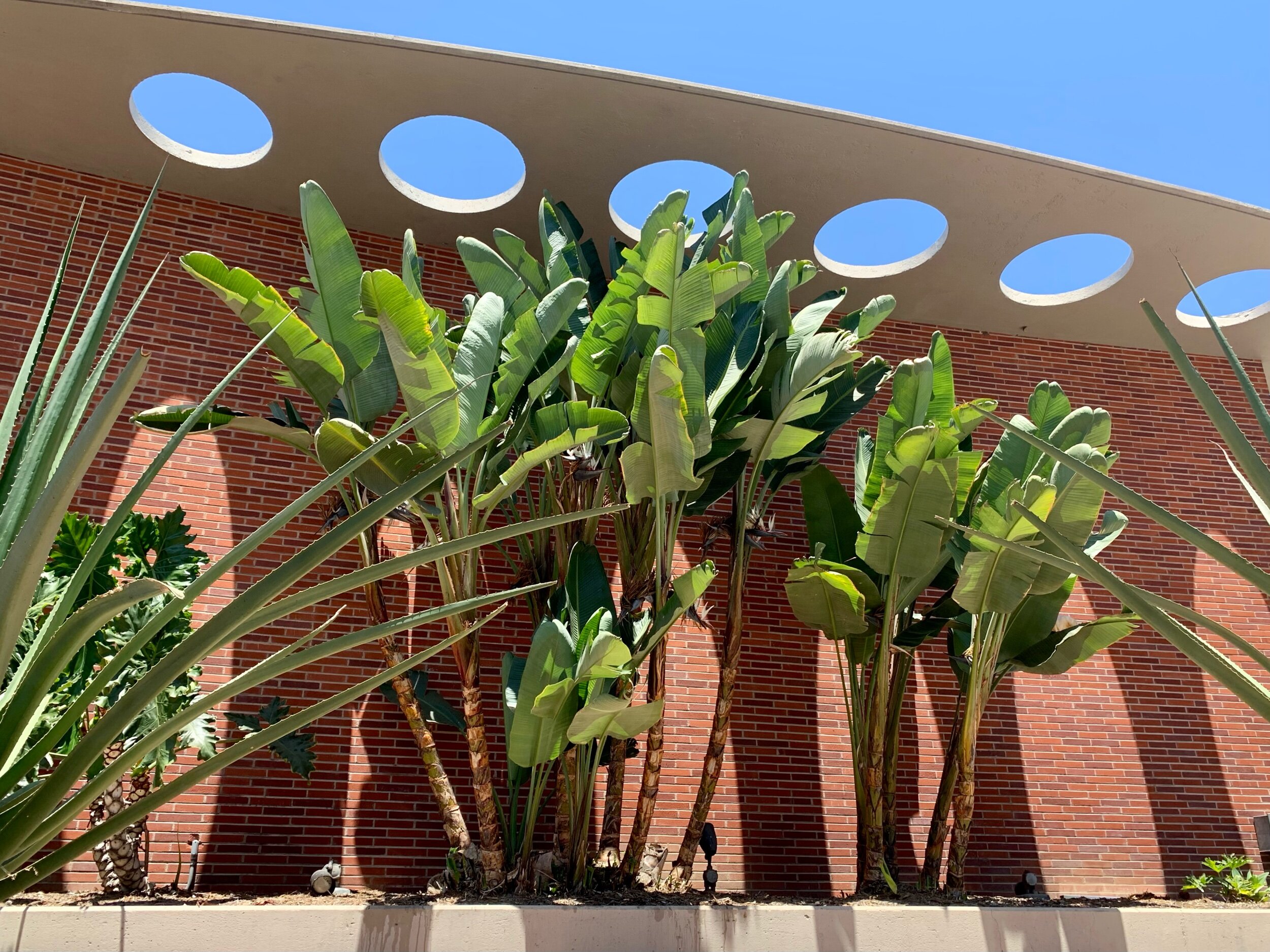  Mid-century modern detail at Dept. of Water and Power 