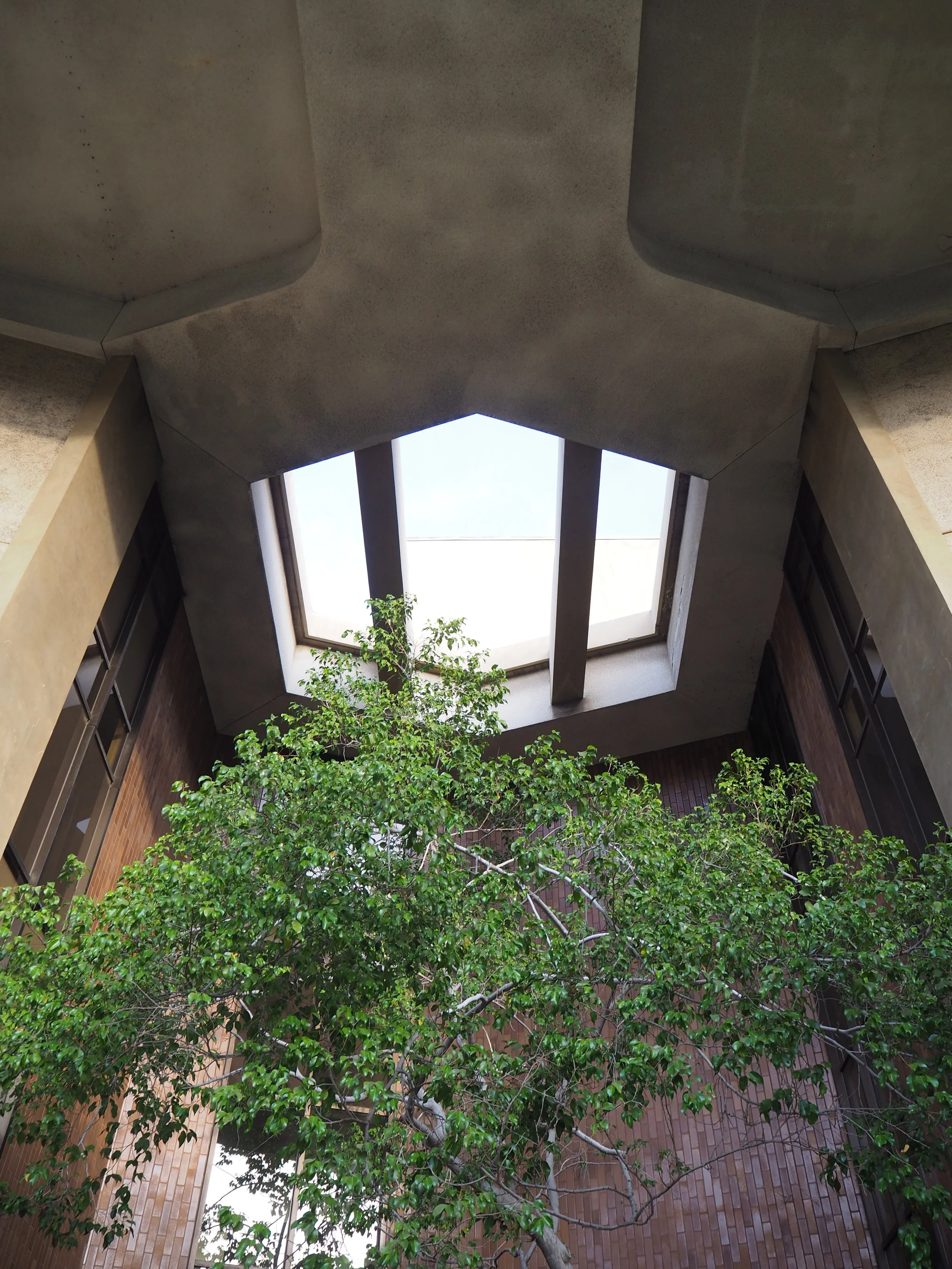 Architecture Friends