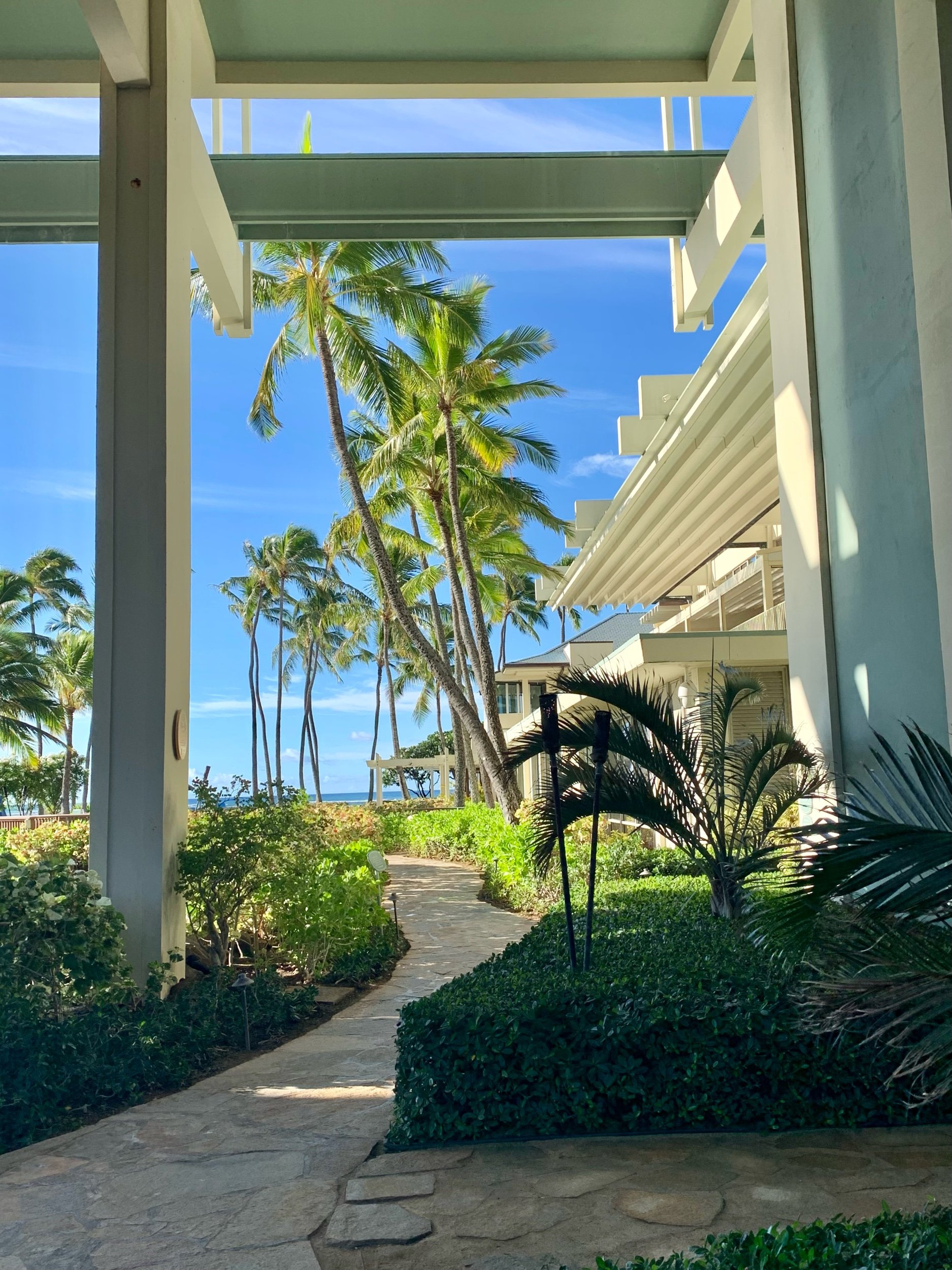  Lower level view towards ocean 