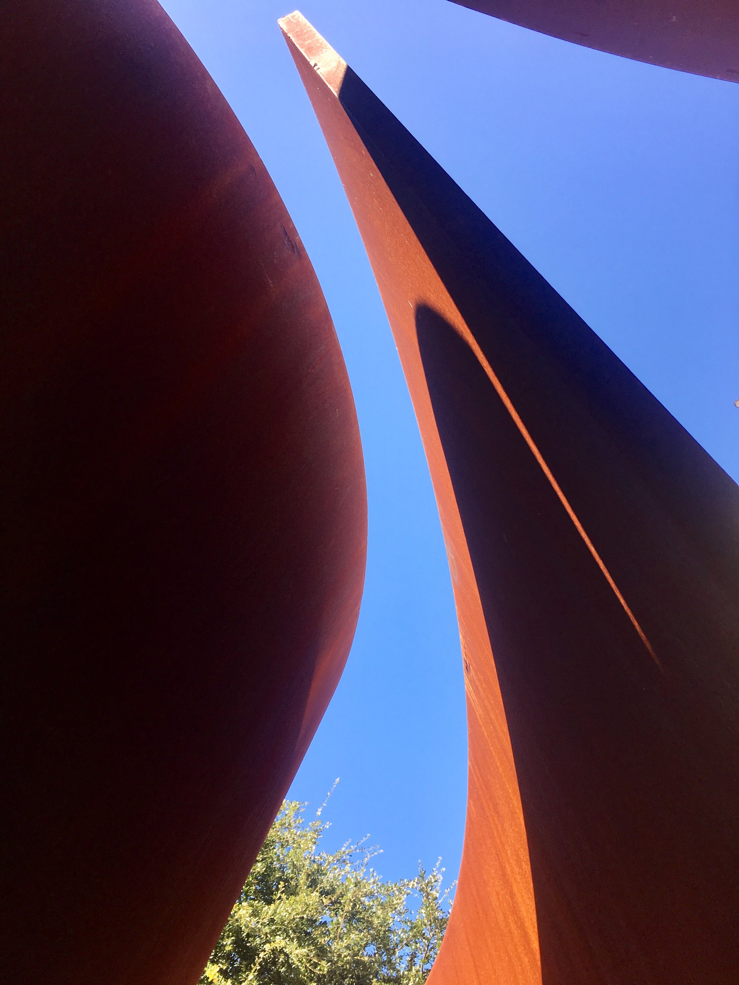 serra at stanford (2).jpg