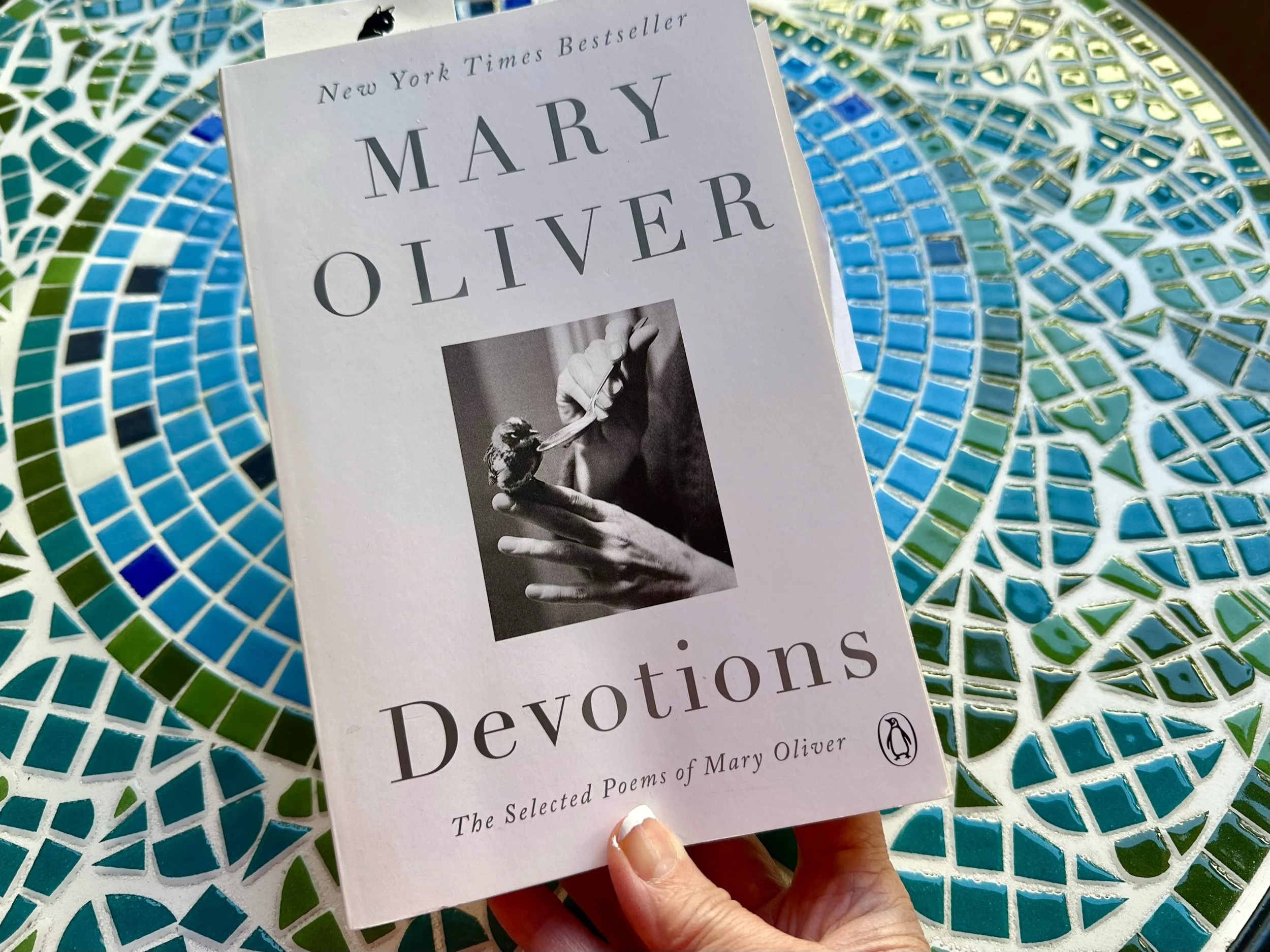 Celebrating - National Poetry Month 2024