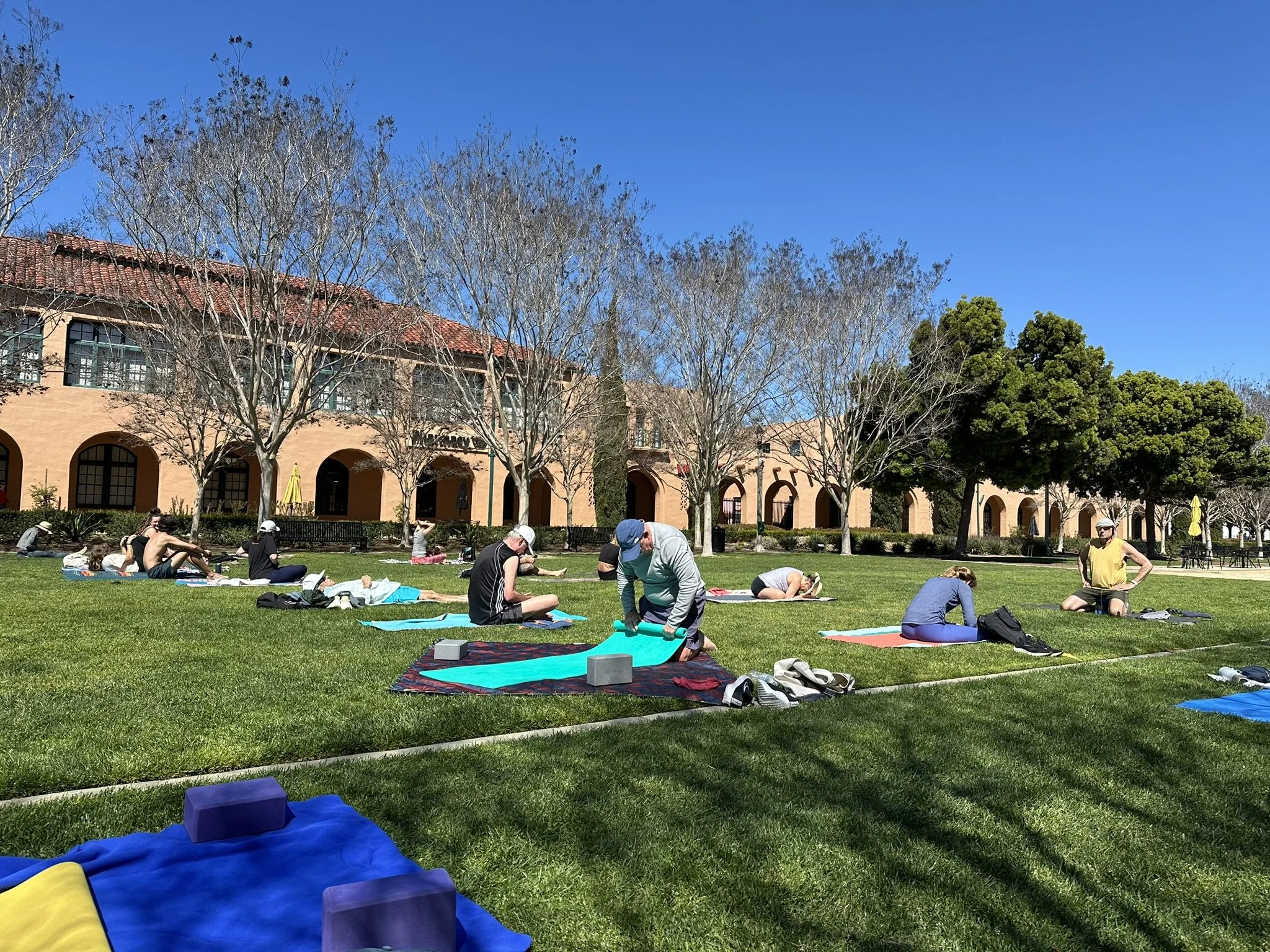 Celebrating - Yogi Milestone and More