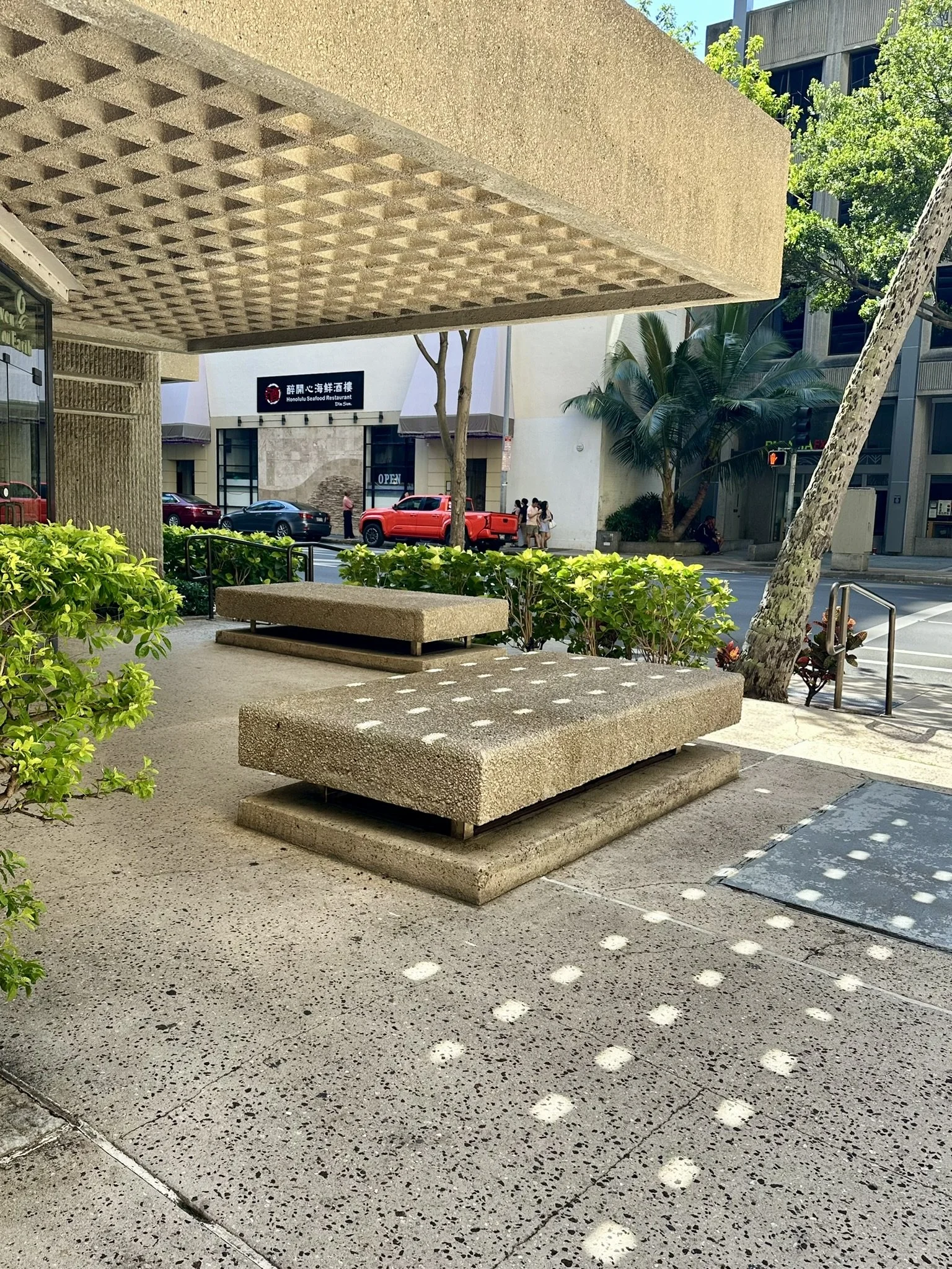 IMG_7854.JPEG