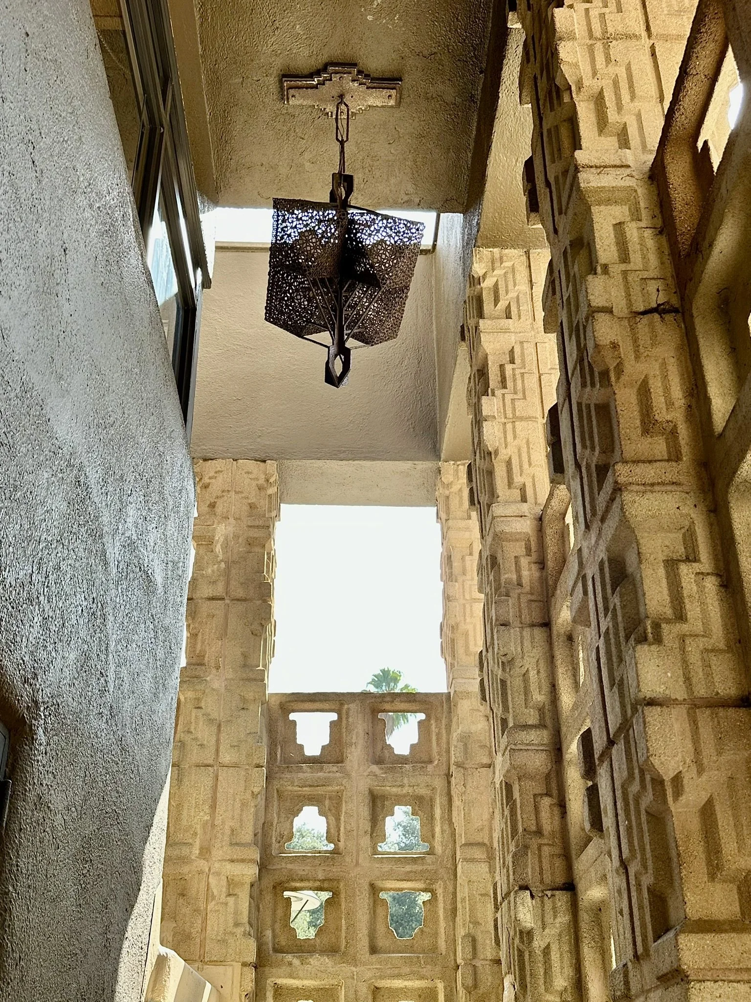 IMG_9369.JPEG