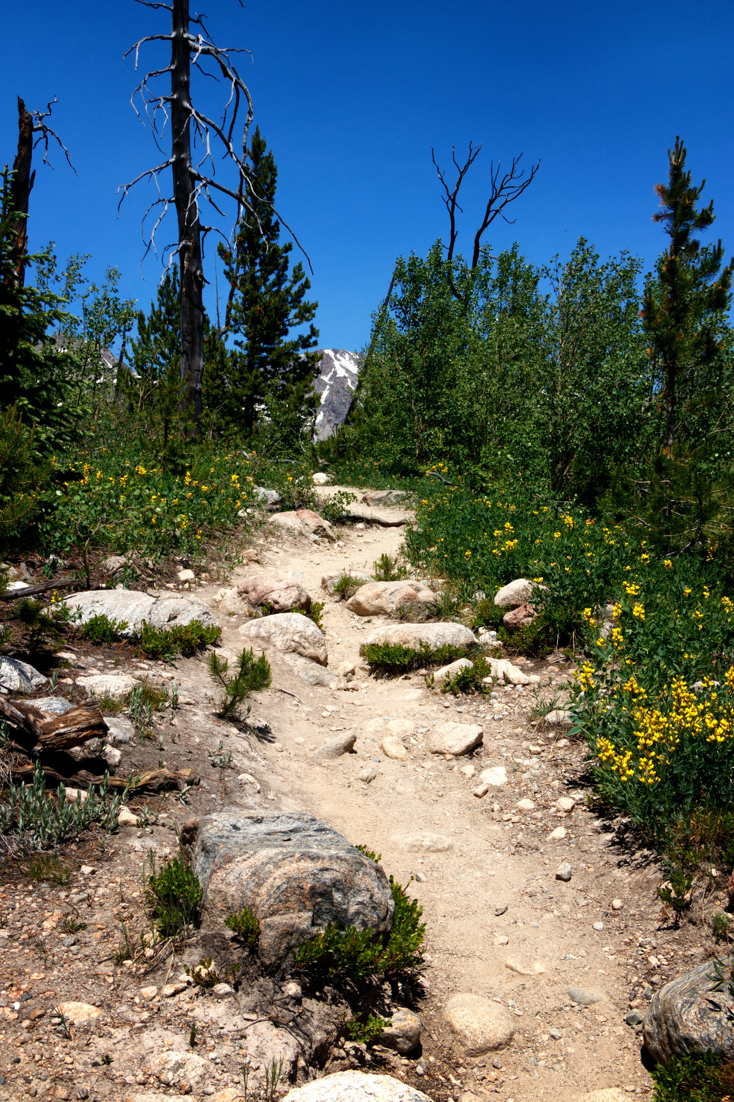 IMG_7107-Edit.jpg