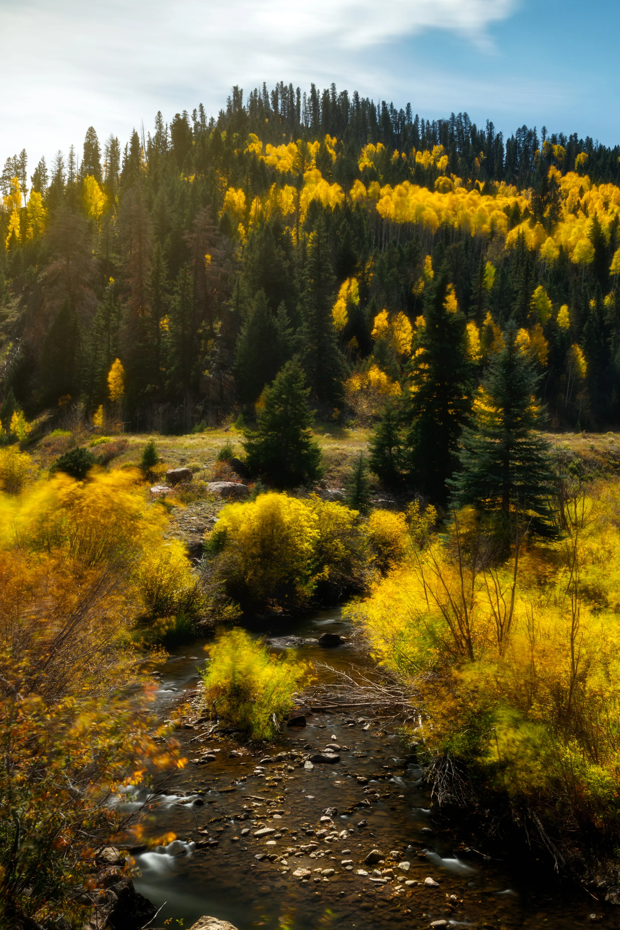 Streams of Gold - Southwest Colorado