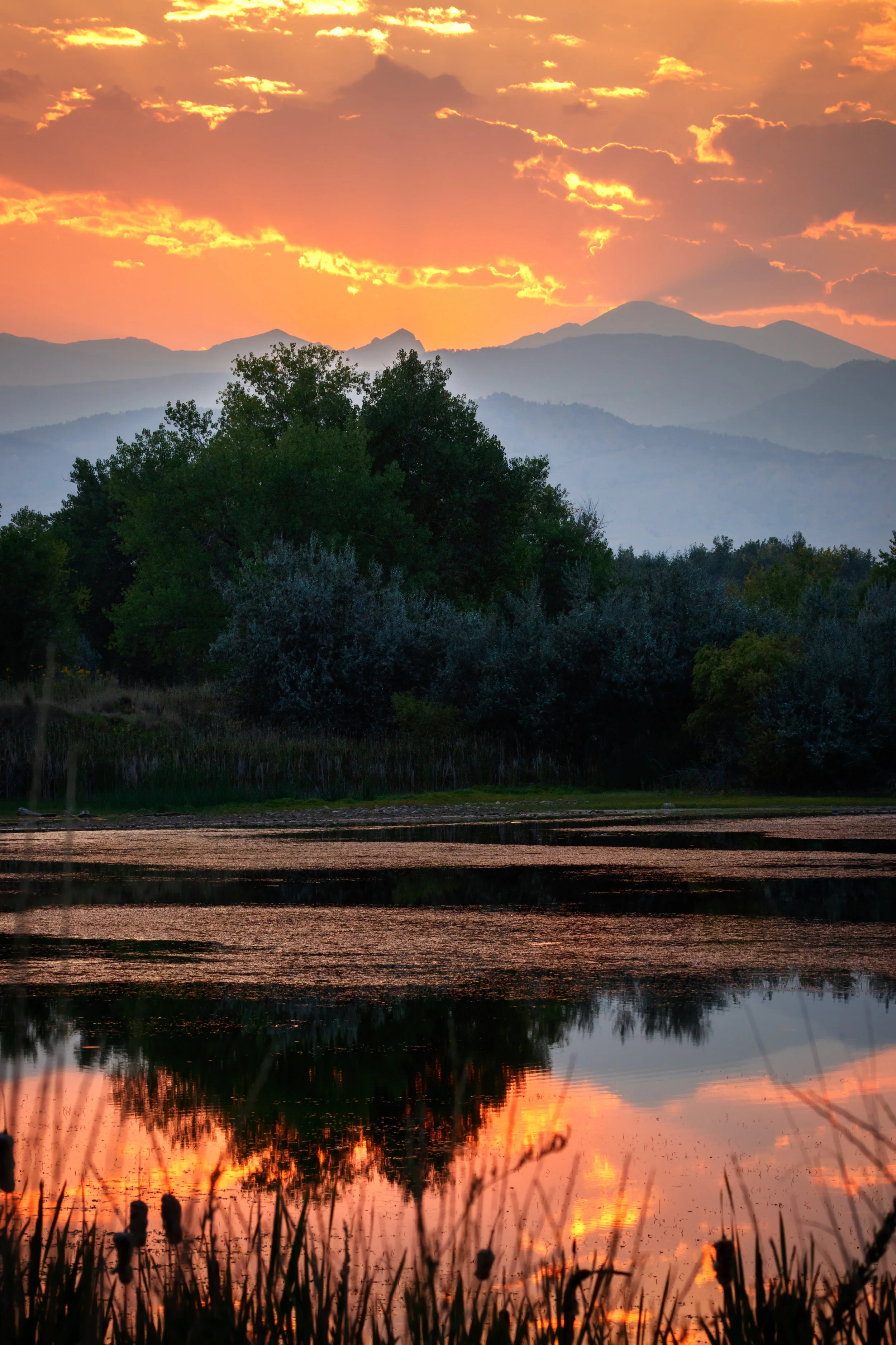 Sawhill Summer - Boulder Colorado