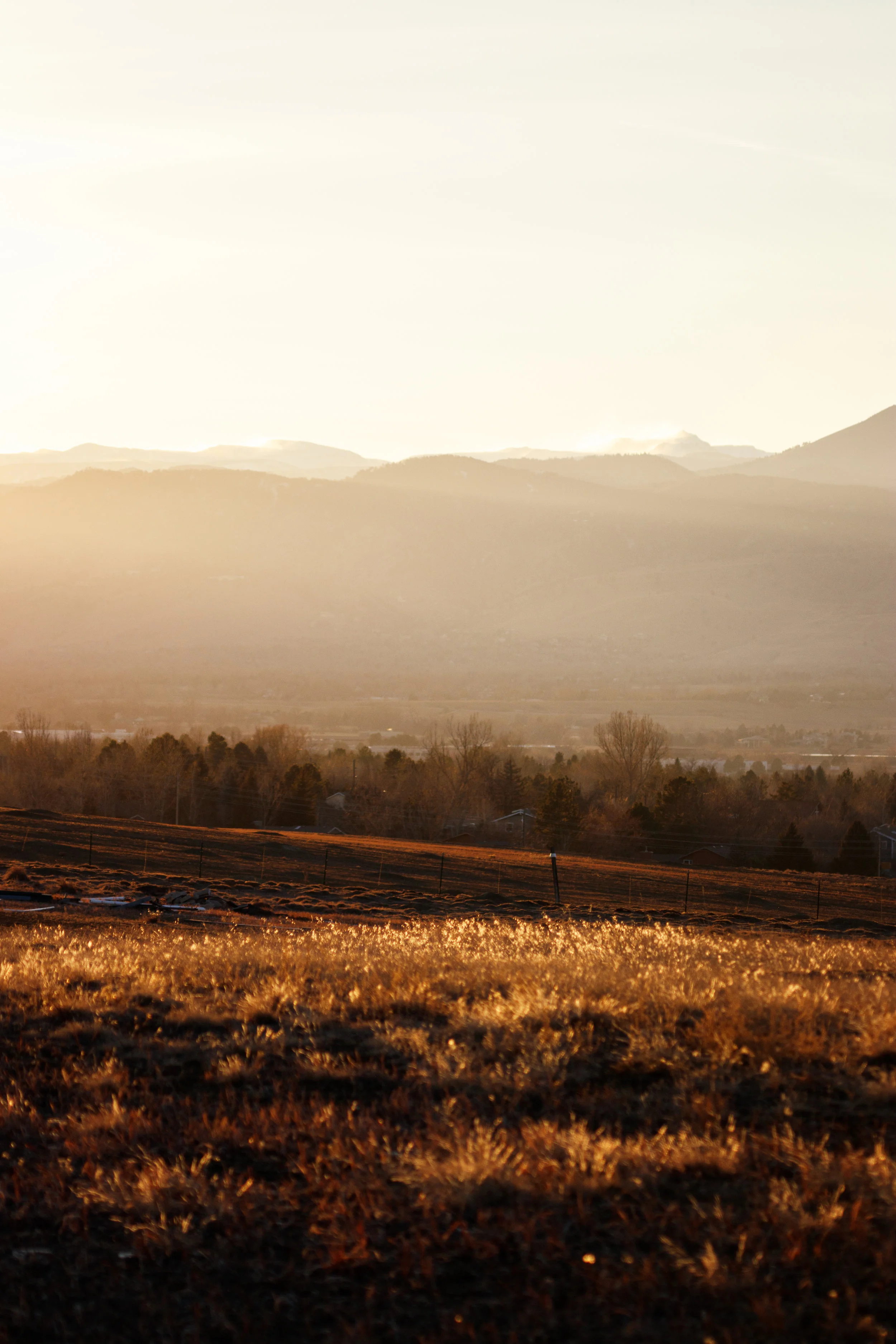 Amber Waves - Boulder Colorado