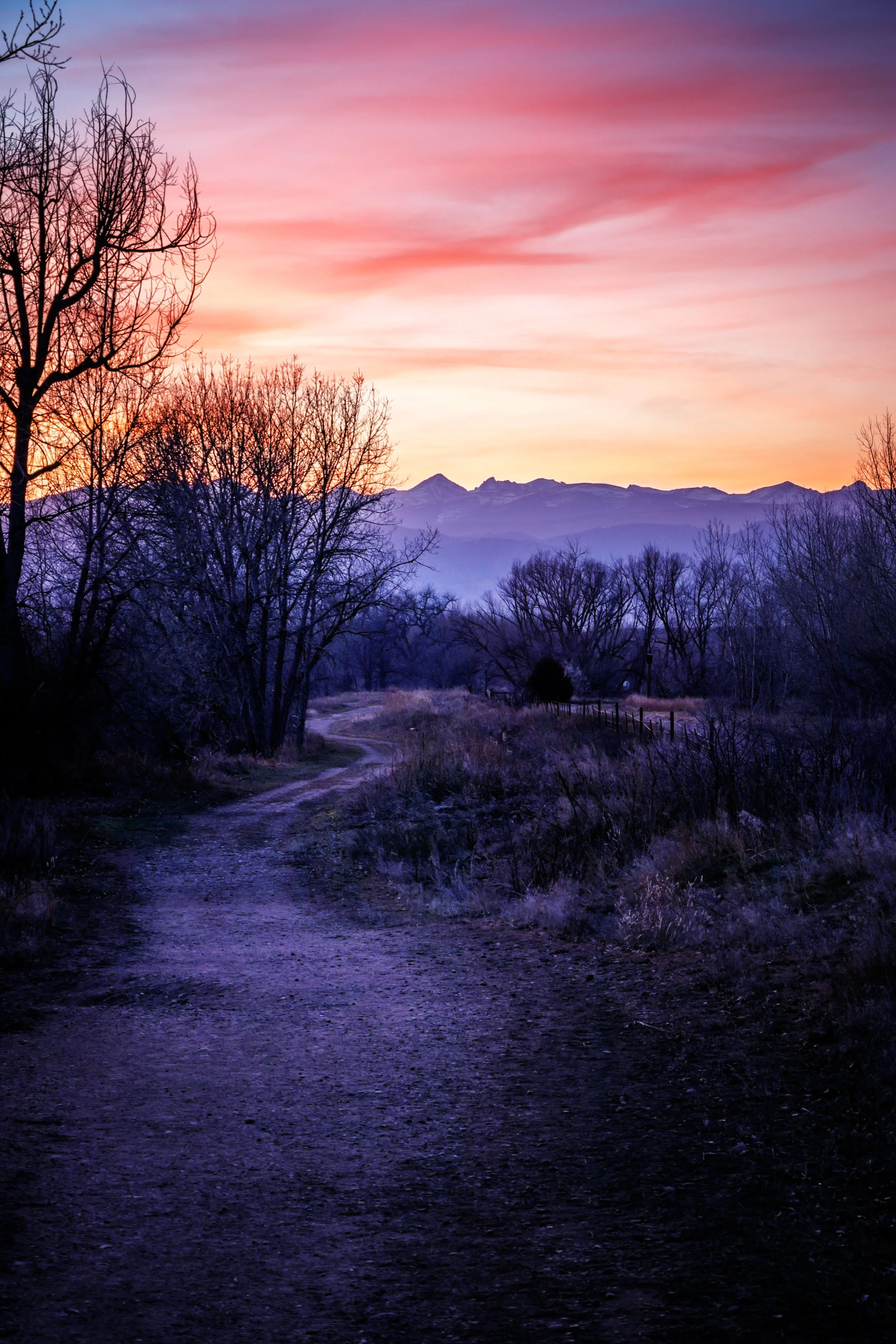 Sawhill Tranquility - Boulder Colorado