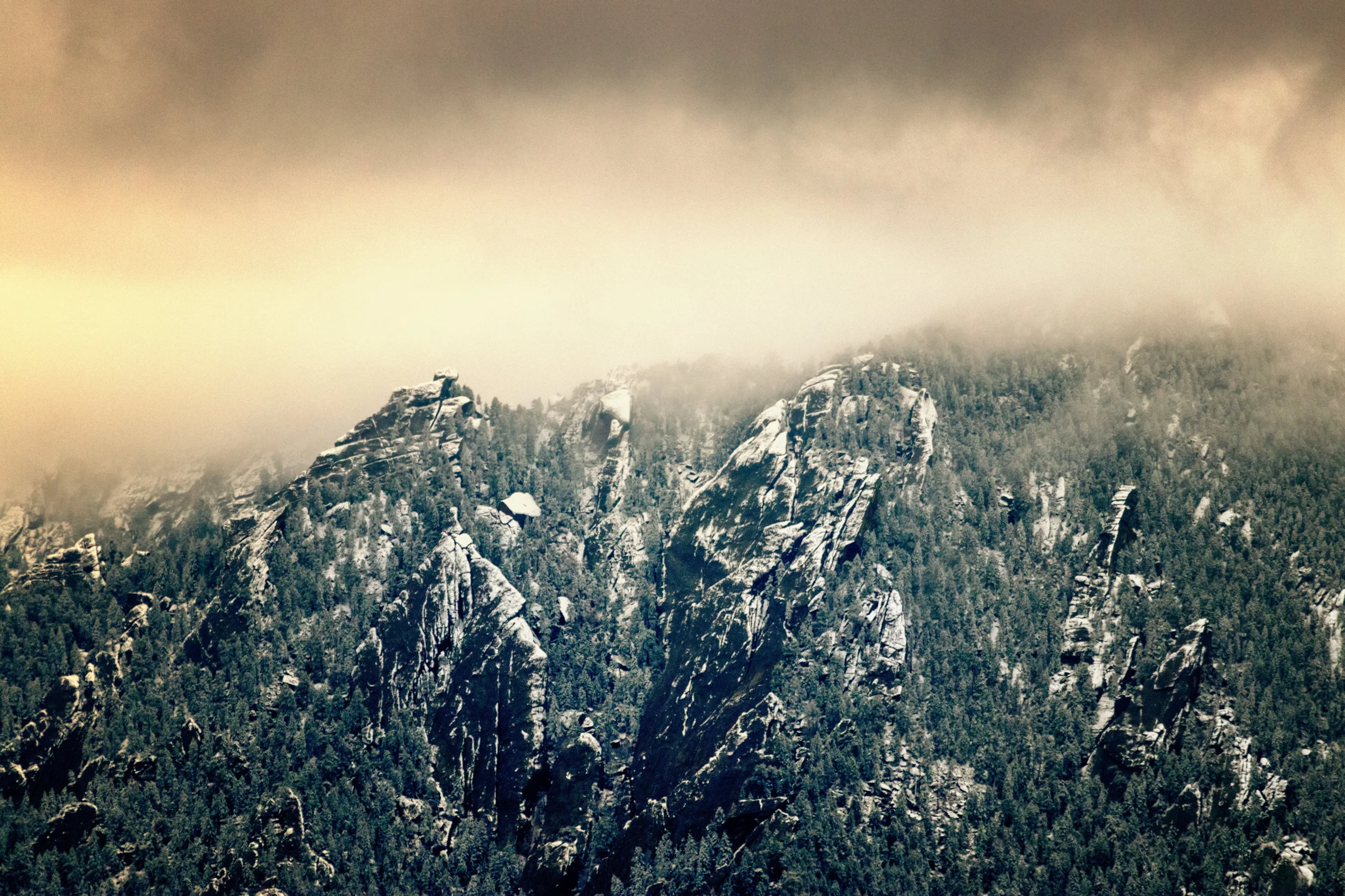Gold or Green? - Boulder Colorado
