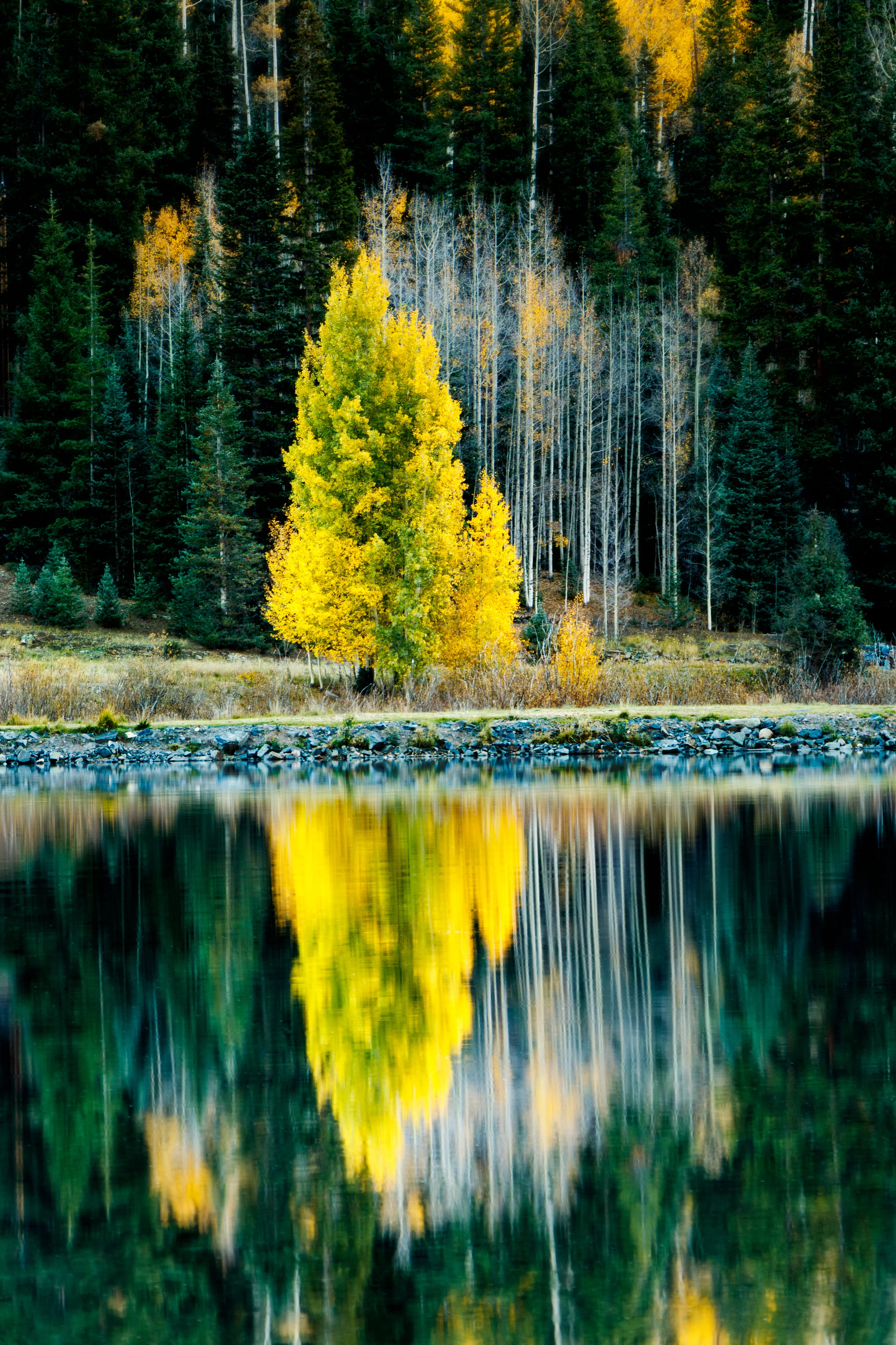 Stand Out - Crystal Lake Ironton Colorado