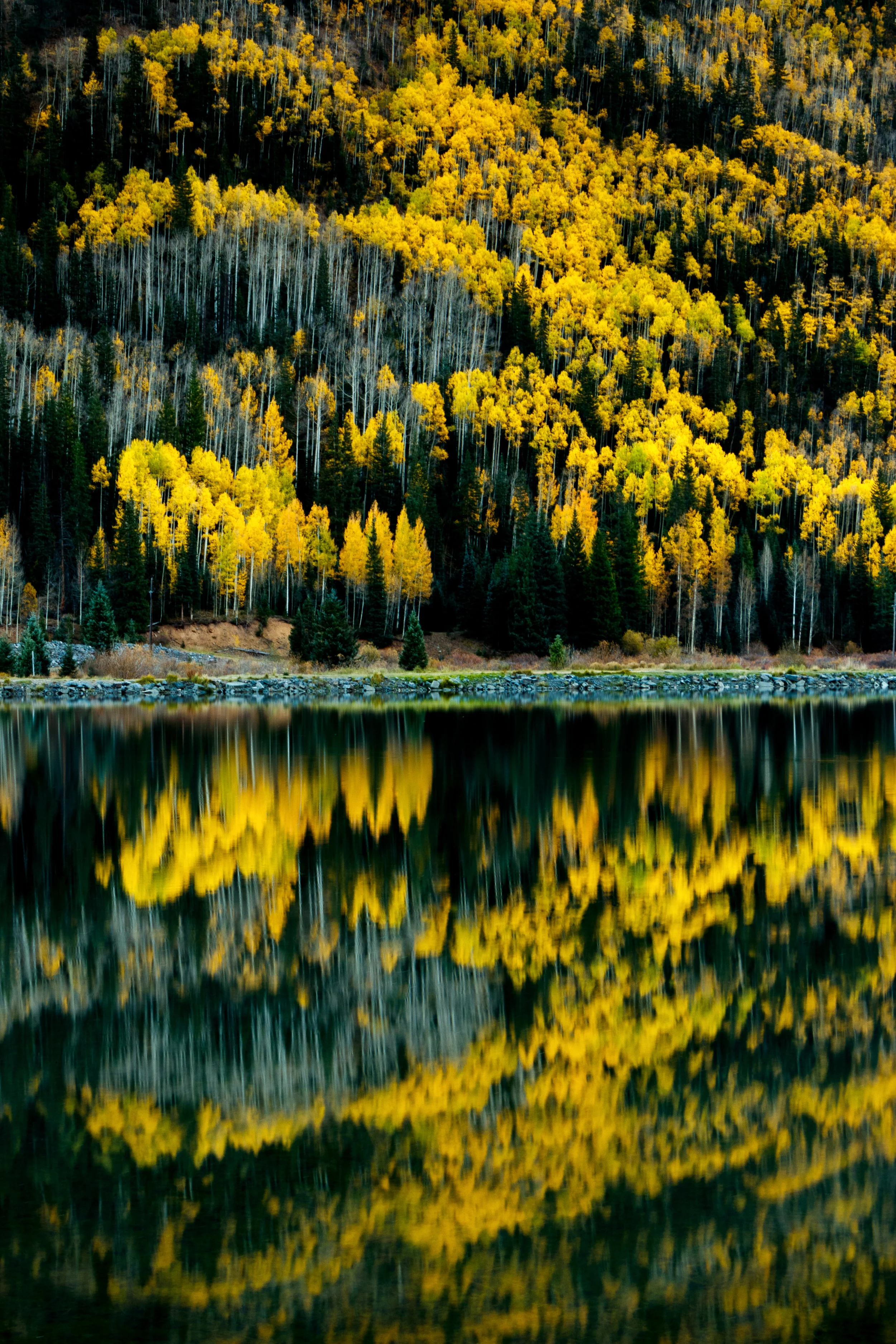 Two Worlds - Ouray Colorado