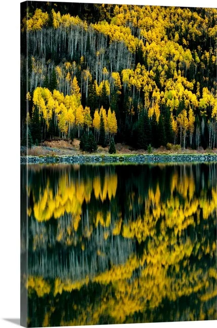 Two Worlds - Ouray Colorado