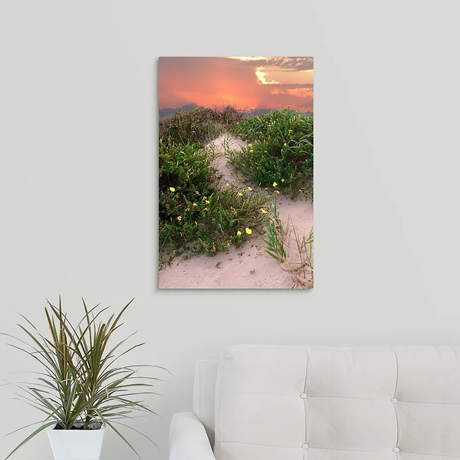 Sunset Dune - Galveston Texas