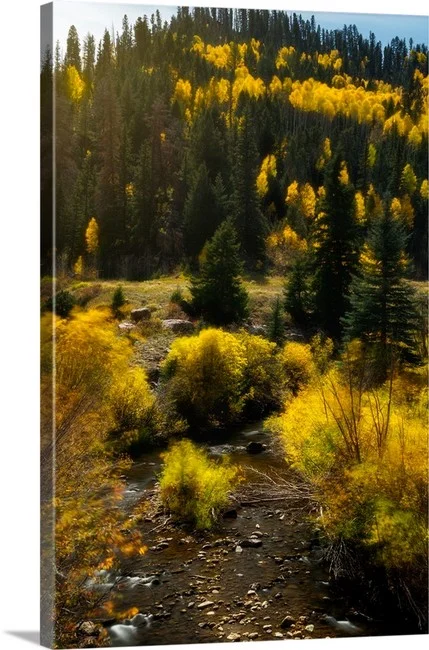 Streams of Gold - Southwest Colorado