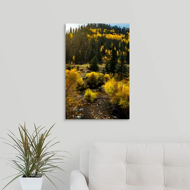 Streams of Gold - Southwest Colorado