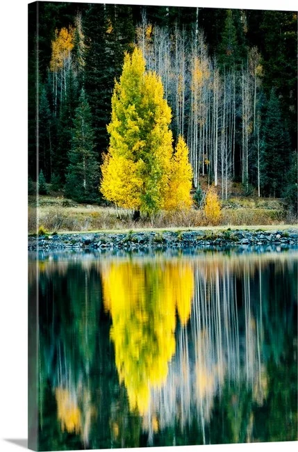 Stand Out - Crystal Lake Ironton Colorado