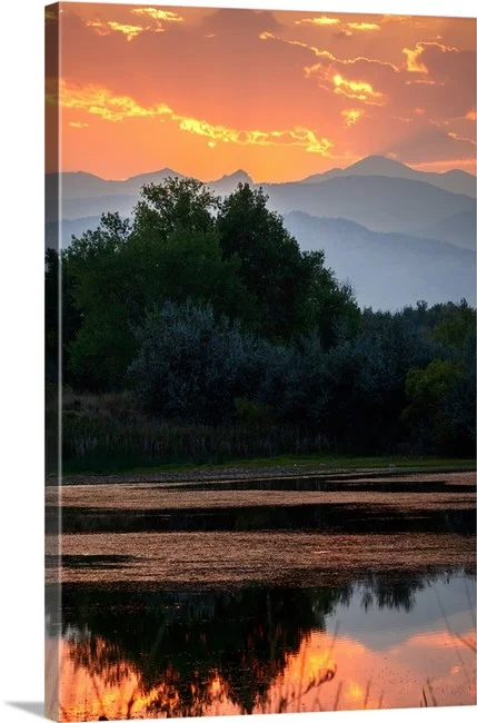 Sawhill Summer - Boulder Colorado