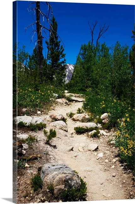 Rocky Mount Trails - Rocky Mountain National Park