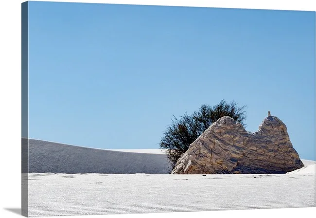 Life in Gypsum 1.jpg