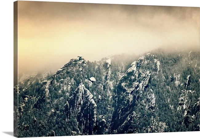 Gold or Green? - Boulder Colorado