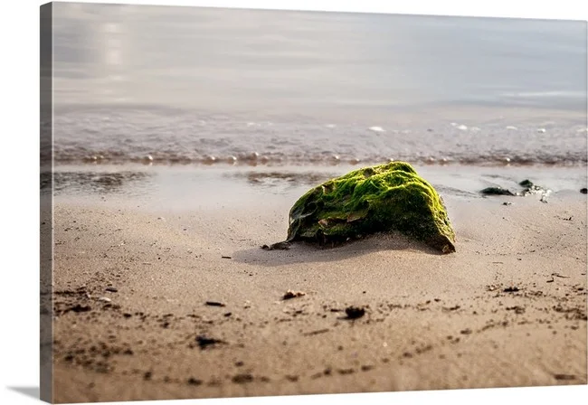 Beach Life - Galveston Texas