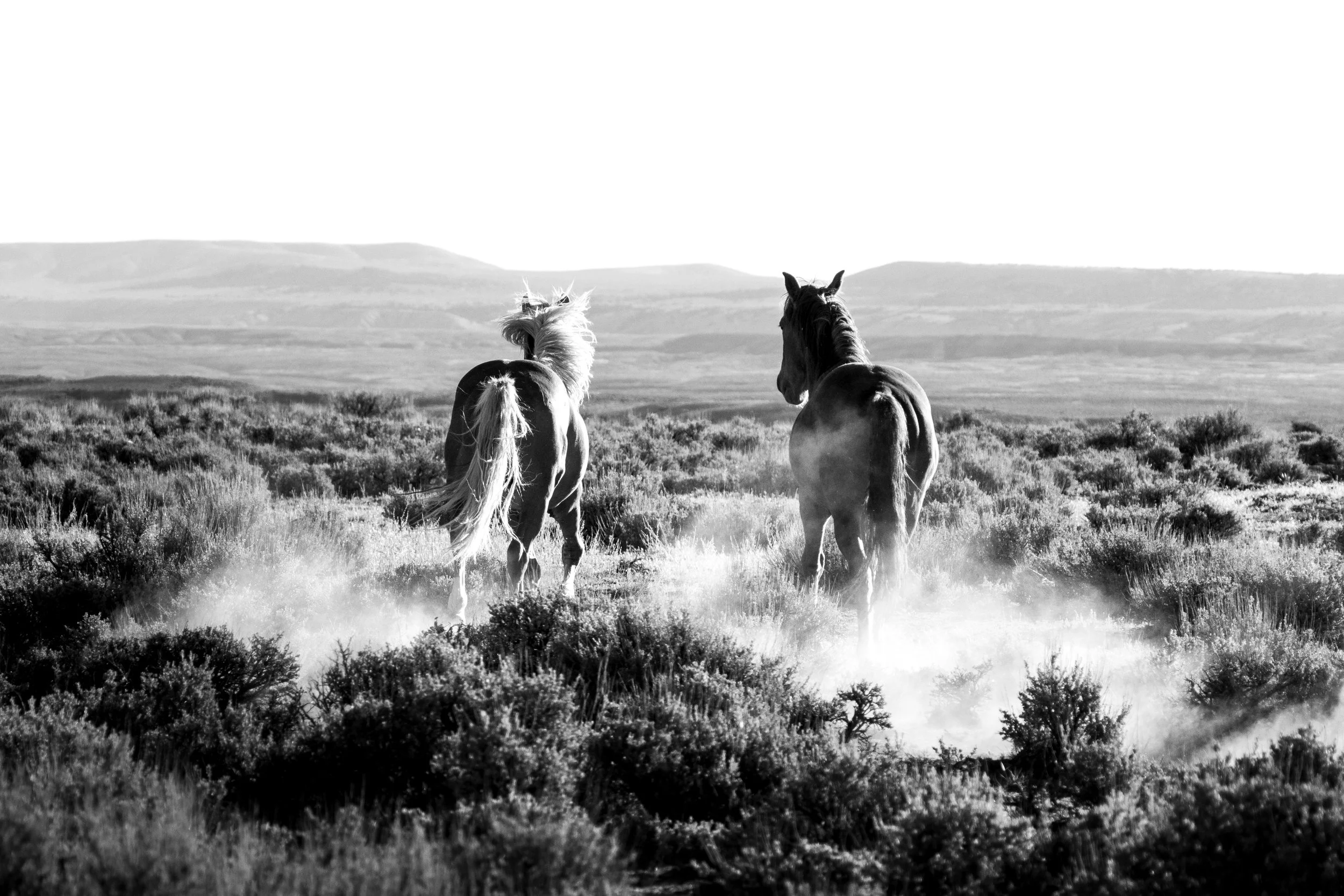 Go West - Sandwash Basin Colorado