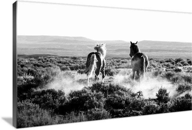 Go West - Sandwash Basin Colorado