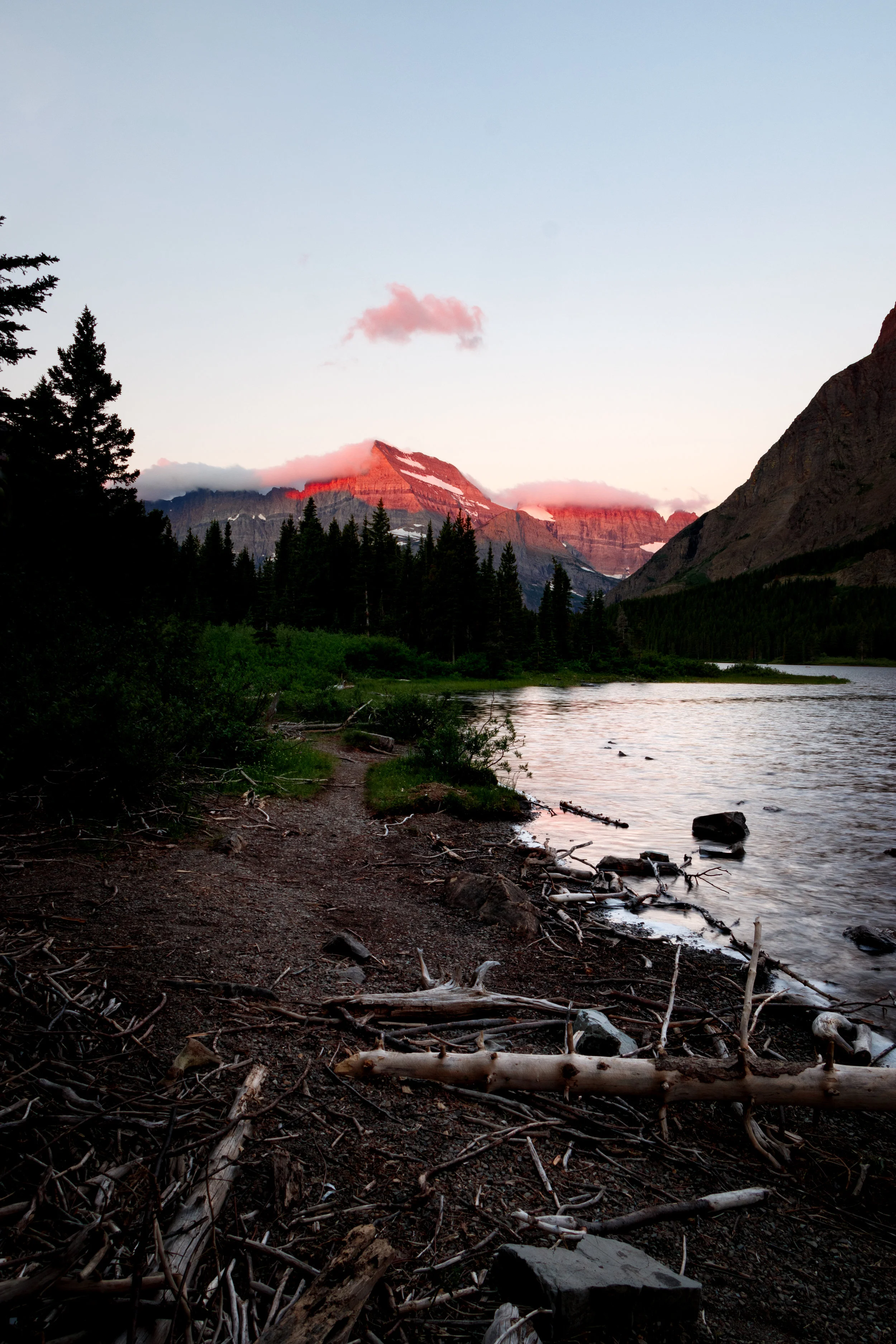 Driftwood Dawn - Glacier National Park Montana