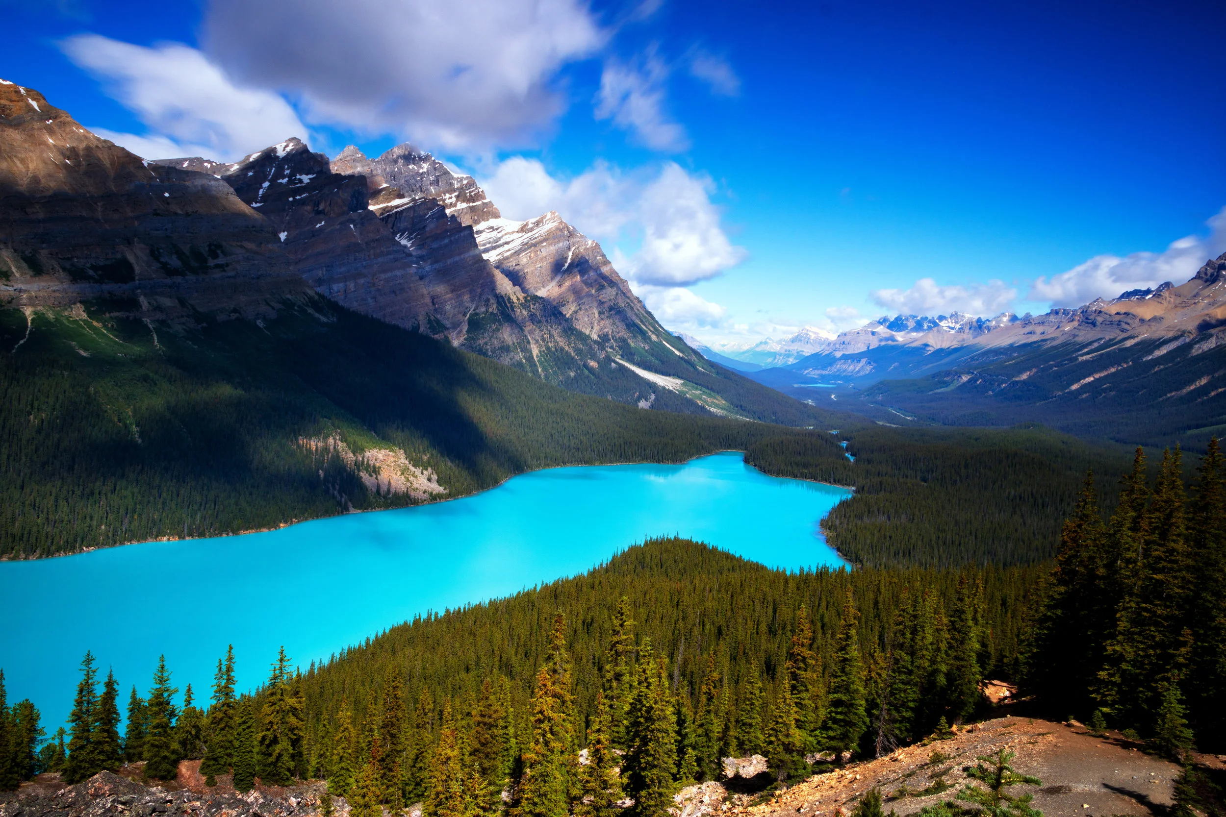 Peyto Summer | Banff National Park Canada