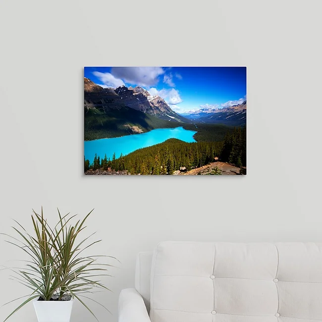 Peyto Summer | Banff National Park Canada