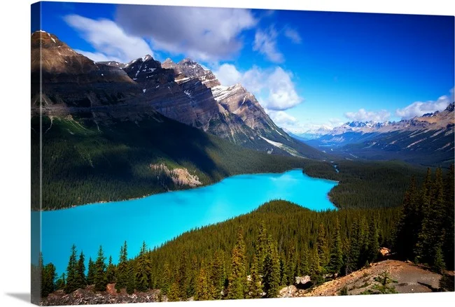 Peyto Summer | Banff National Park Canada