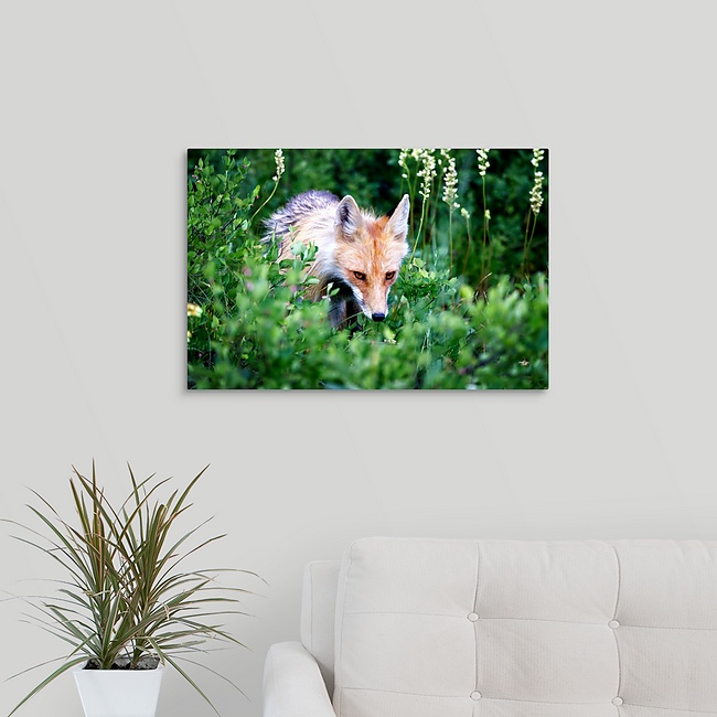 cunning 2.jpg