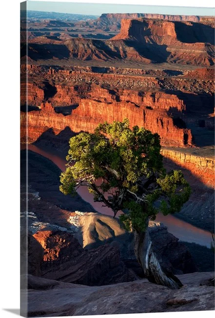 Depth of Character | Utah Moab
