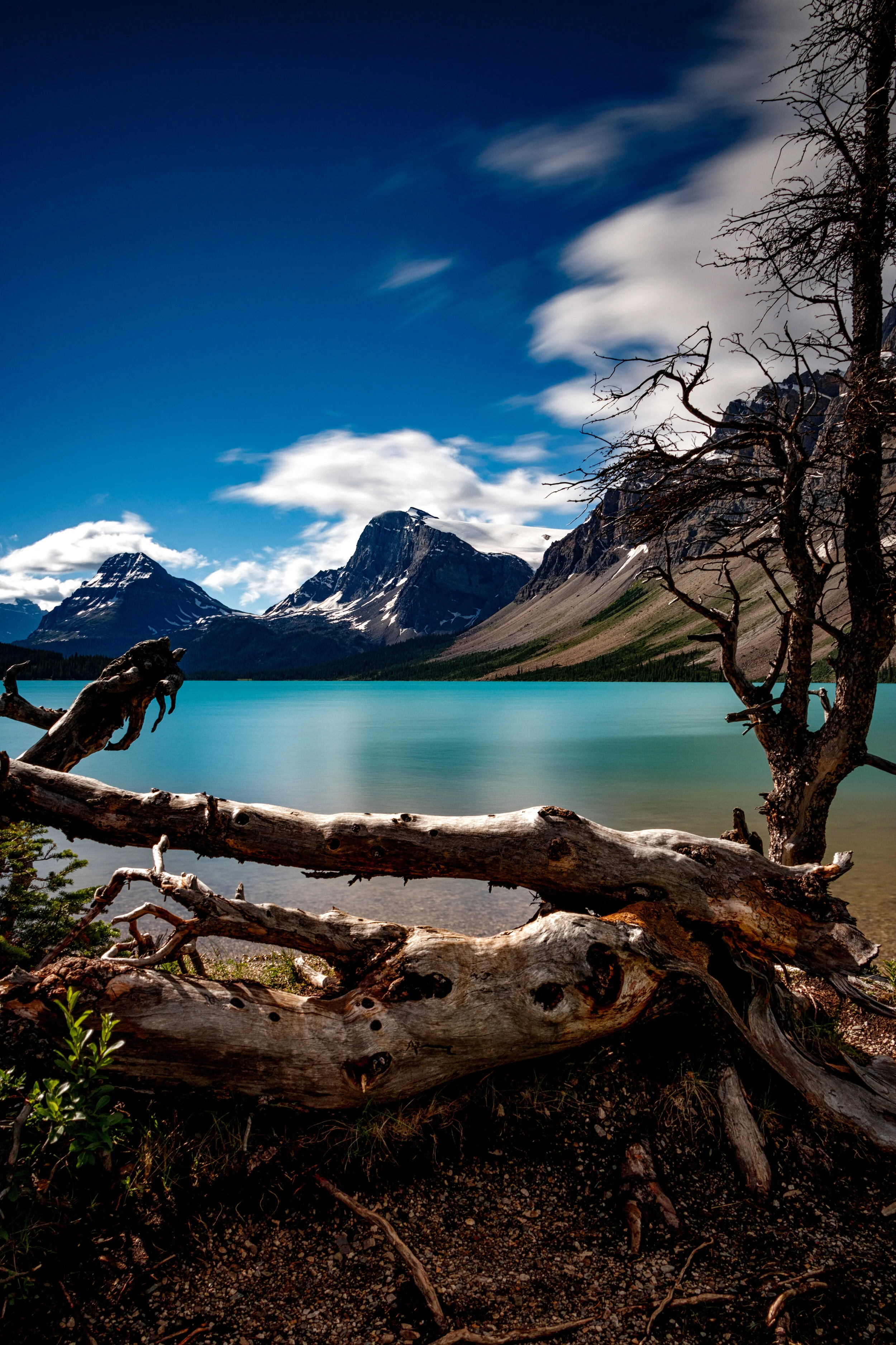 Shores of Summer - Canadian Rockies