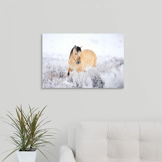 Snow Graze - Wild Horse