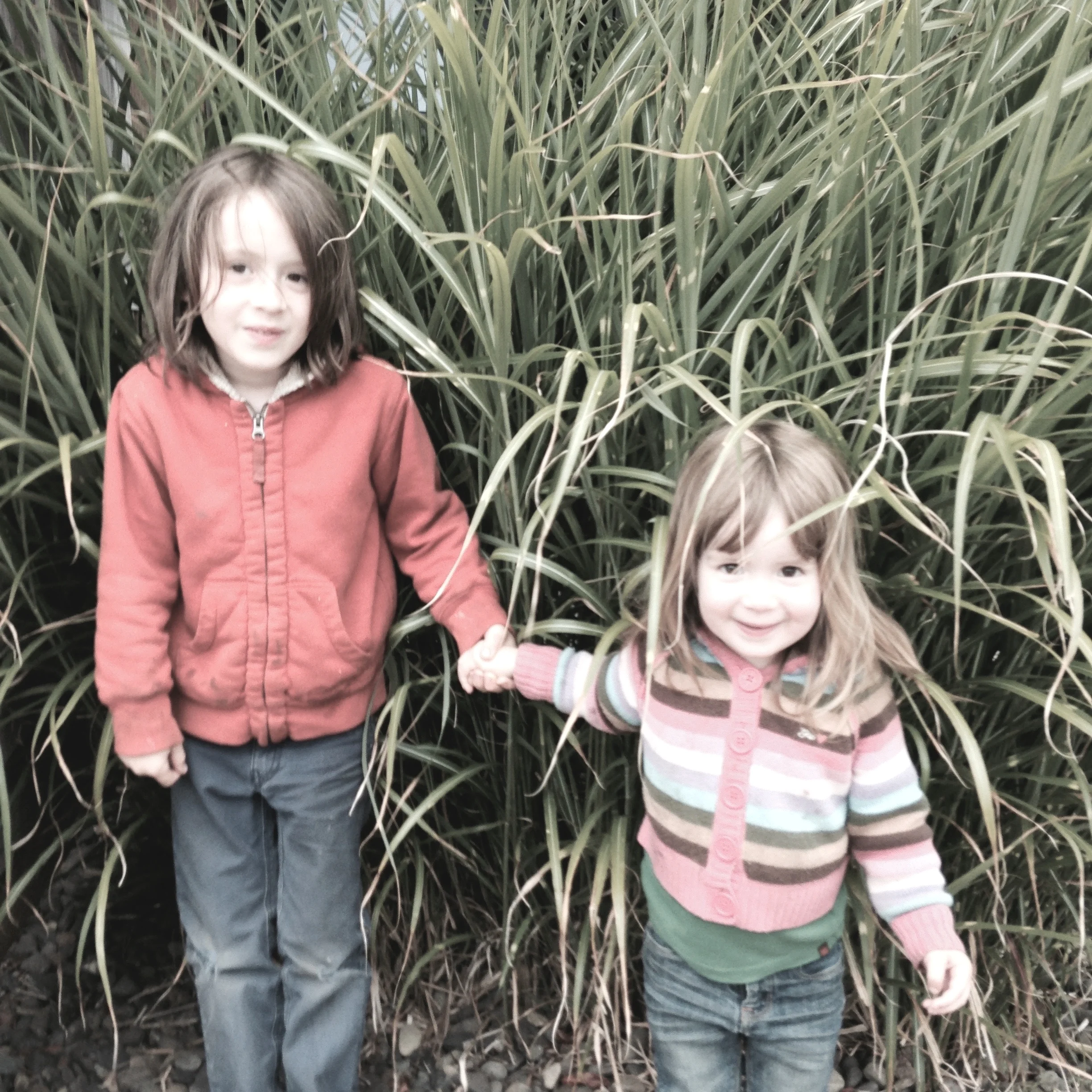 The next generation.