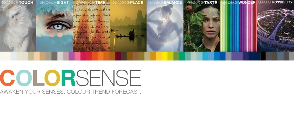 colorsense-landing-page-header-D3.jpg