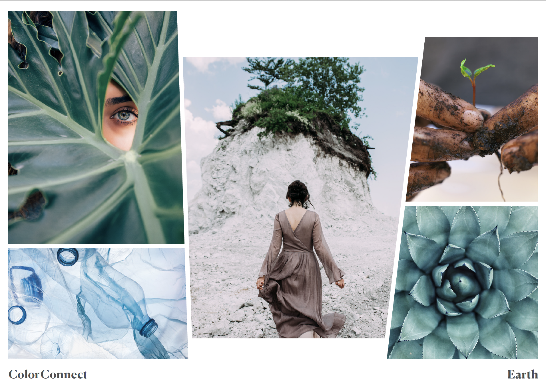 Screen Shot 2019-05-19 at 3.58.27 AM.png