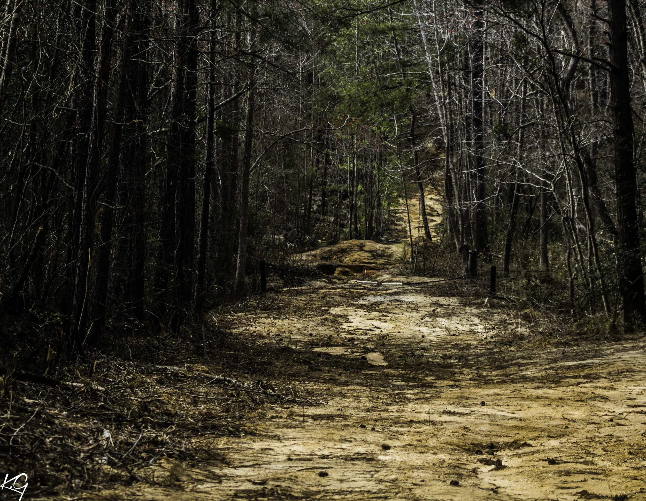 nature walk 4.jpg