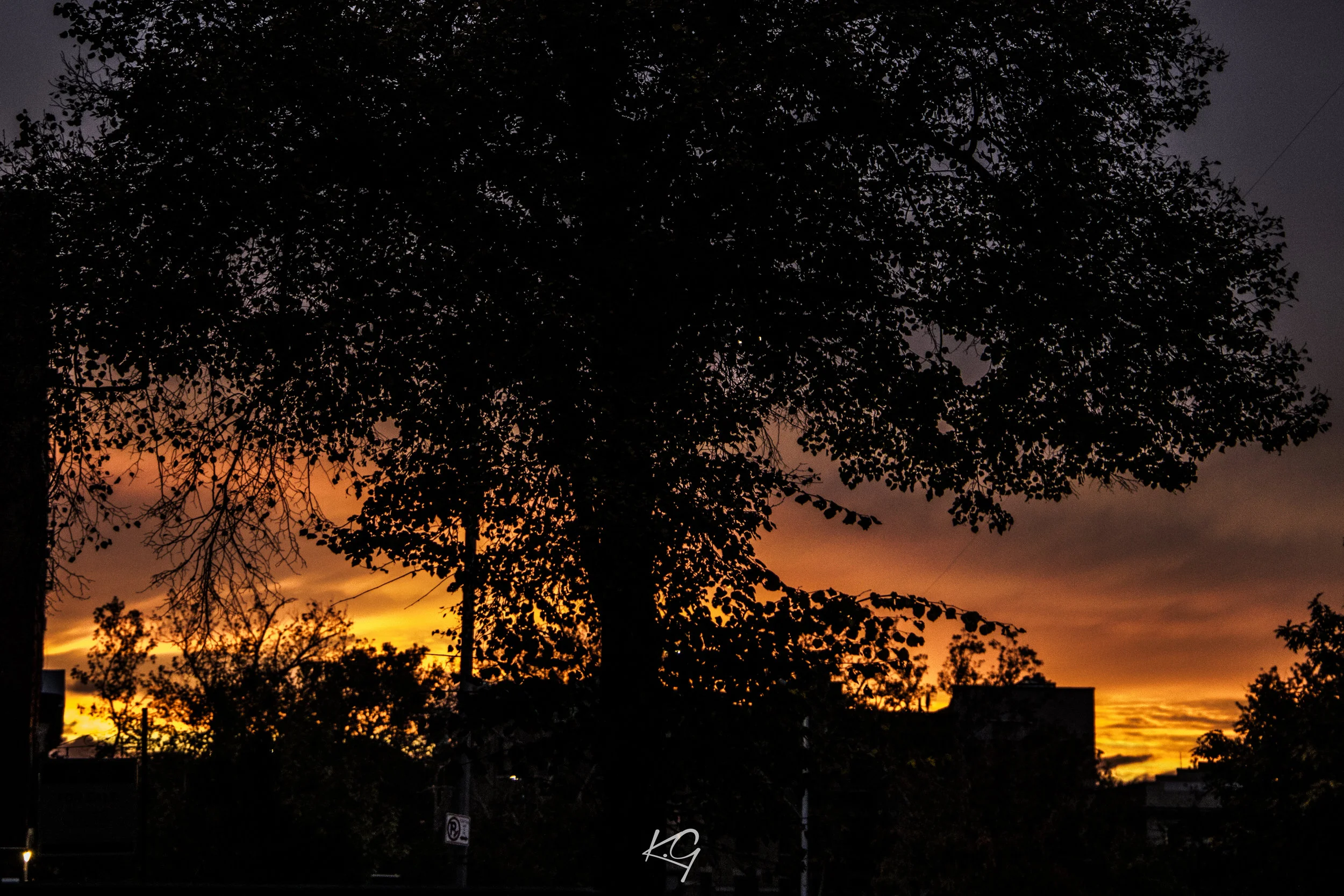 Sunset in Brooklyn
