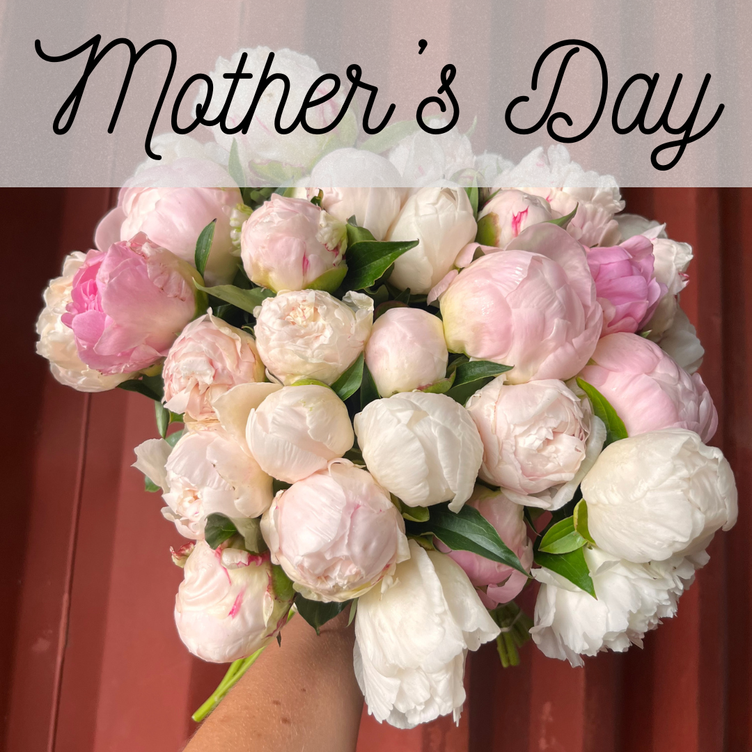 Your paragraph text (8).png