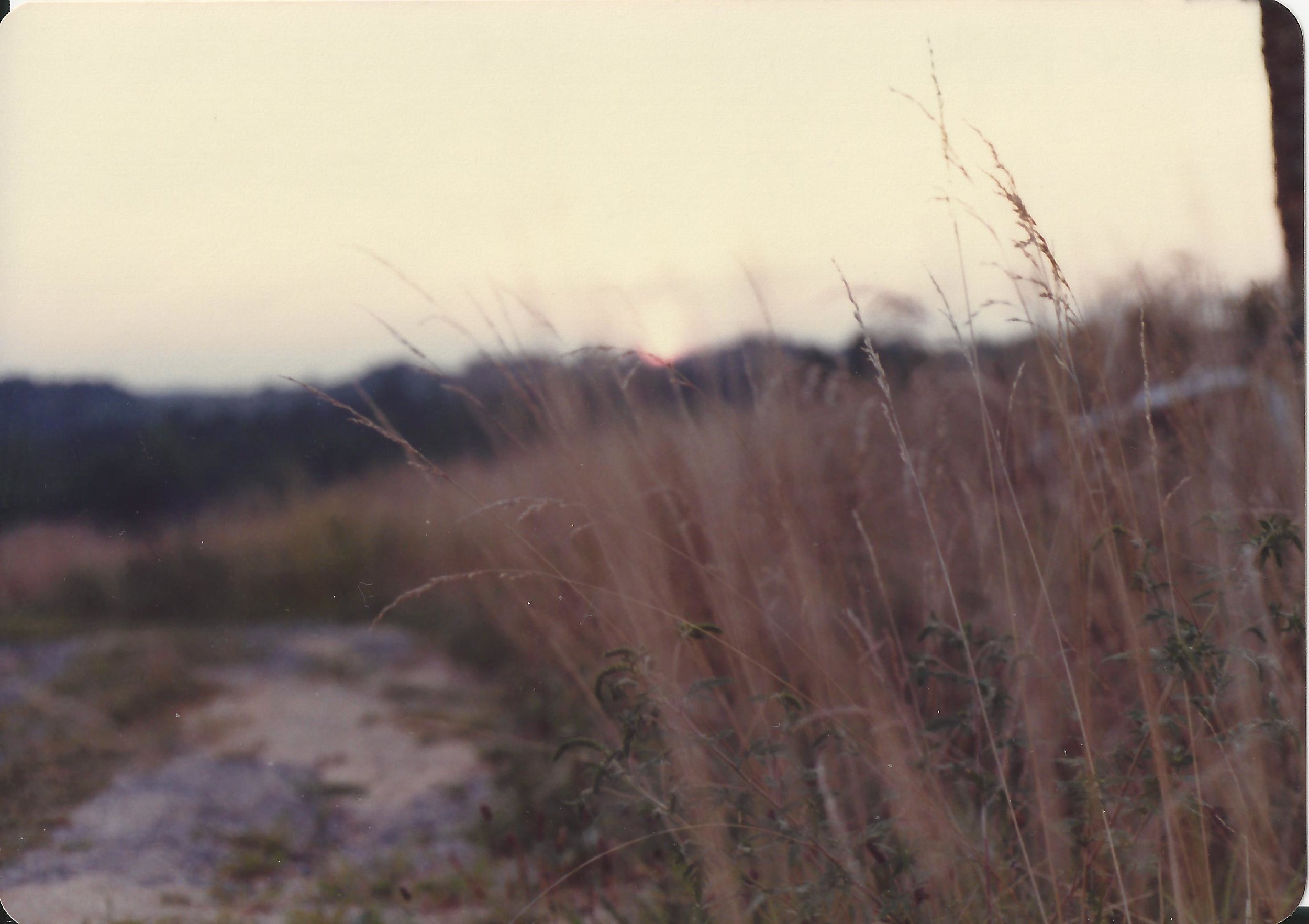 Baux Mtn landscape 1984 artistic sunset.jpg