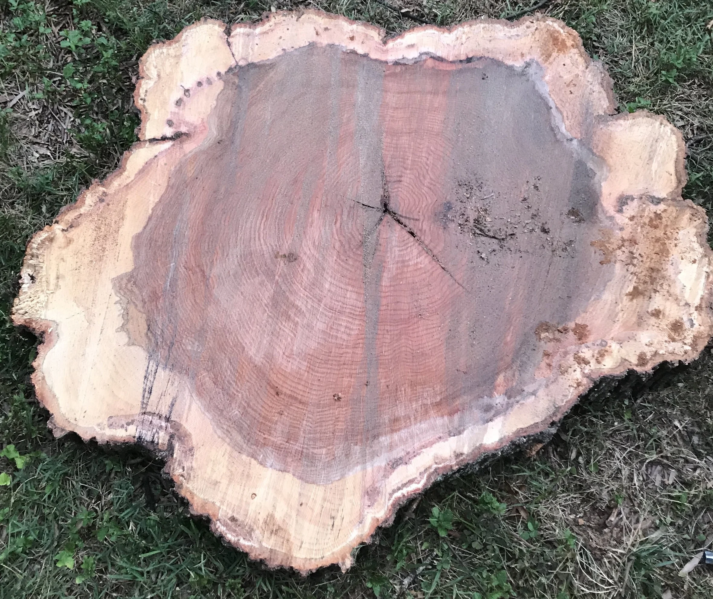 Copy of Copy of Black Walnut Cookie