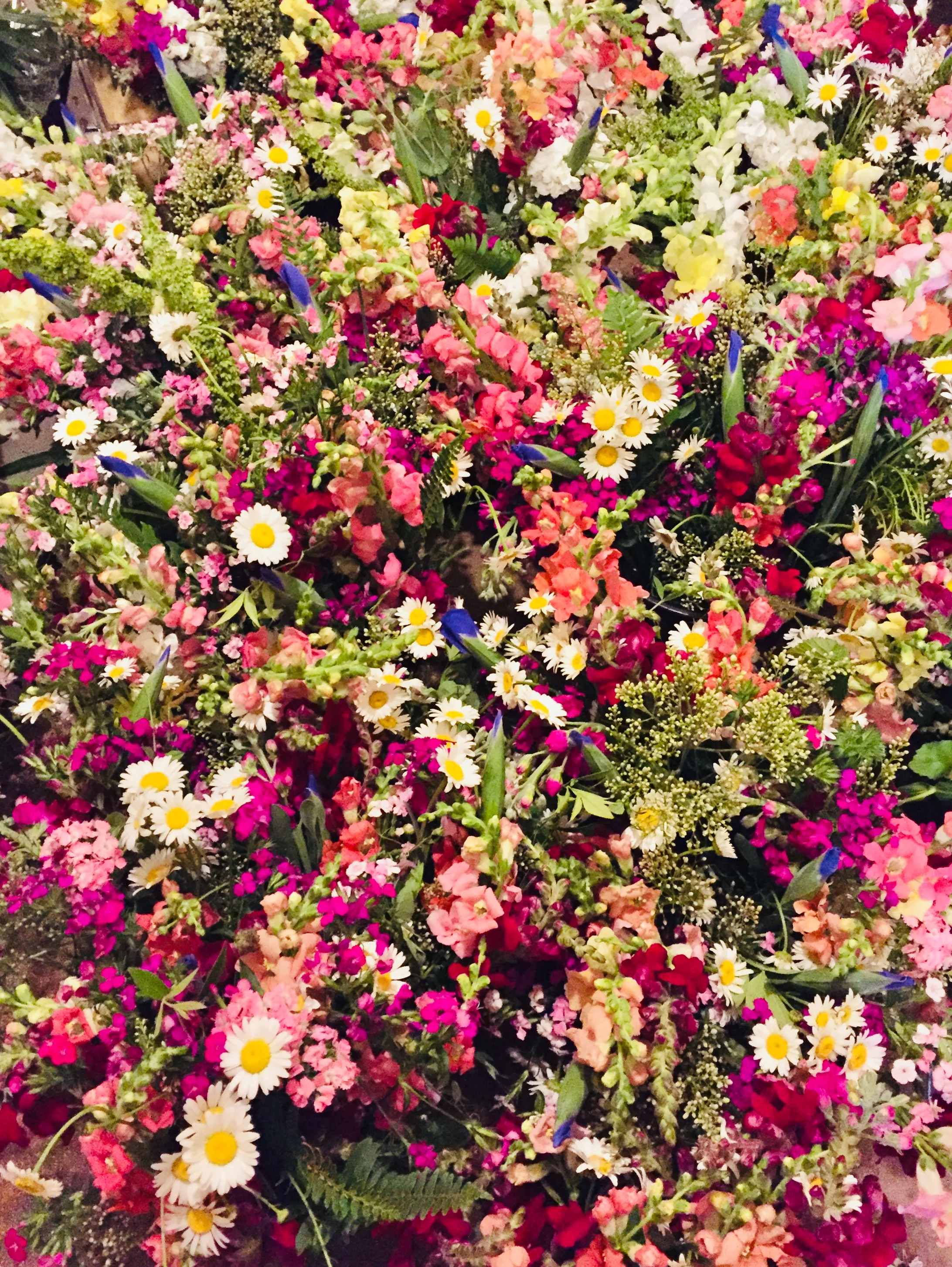 image3 (4).jpeg